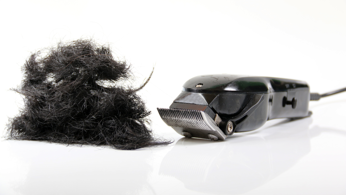 Máquina de cortar cabelo preta profissional em uma superfície branca com cabelo preto aparado - máquina de cortar cabelo premium para cortes de cabelo precisos.